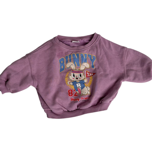Next Vintage Sweatshirt „Bunny Team“ | Gr. 62